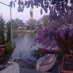 Bahar