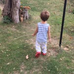 Alper