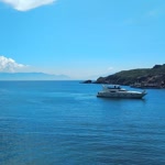 Şükran