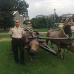 Orhan