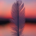 Dilek