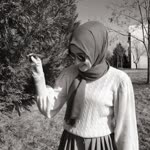 Betül