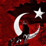 Mücahit