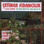 Adem