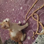 Fatma