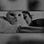Nilay