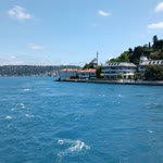 Erdal
