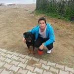 Enis