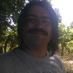 Murat