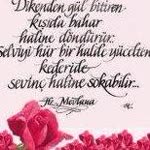 Sevda