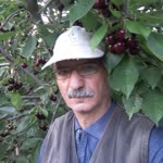 İsmail