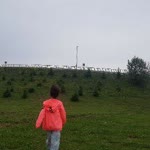 Nur