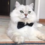 Emine