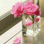 Abir