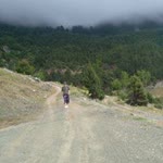 Elif
