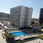 Tolga