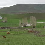 Ninova