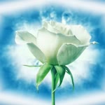 Mahir