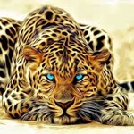 Burak