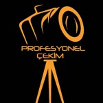 Profesyonel