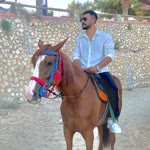Halil