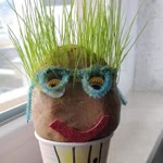 Cengiz