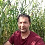 Hasan