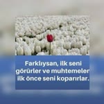 Cemal