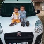 Taylan