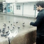 Murat
