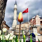 Elif