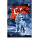 Resul