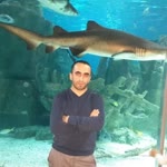 Sezgin