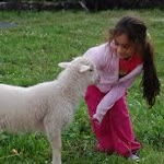 Betül