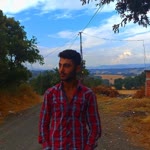 Doğan