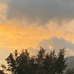 Deniz