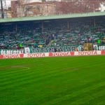 Tarık