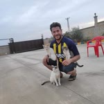Fatih