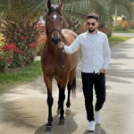 Burhan
