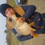 Orhan