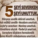 Sedat