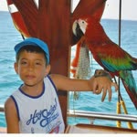 Alper
