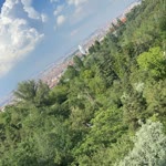 Yağmur