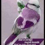 Emine