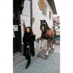 Buse