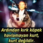 Murat