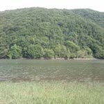 Elanur