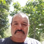 Rasim