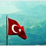 Tolga