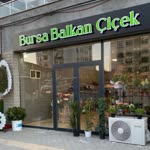 Bursa